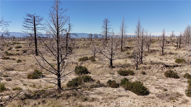 Detail Gallery Image 6 of 25 For 35 Blk 43 Lot 35 Heinzelman Dr, Montague,  CA 96064 - – Beds | – Baths