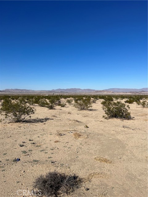 0 Primrose Lane, Twentynine Palms, California 92277, ,Land,For Sale,0 Primrose Lane,CRJT23210451