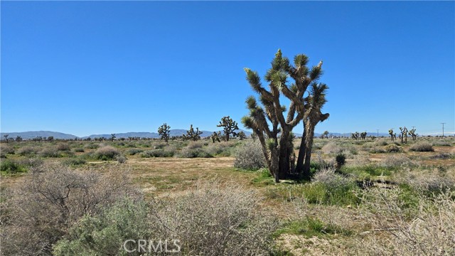 Detail Gallery Image 19 of 35 For 0 Palmdale Blvd & 75th St East, Palmdale,  CA 93553 - – Beds | – Baths