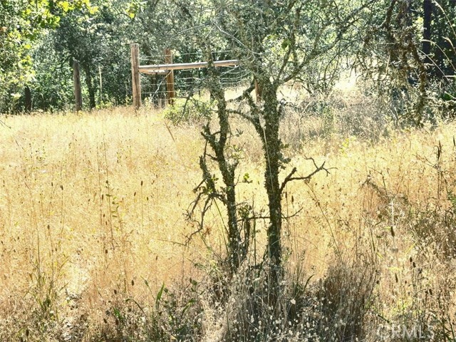 Detail Gallery Image 6 of 21 For 48 Rices Texas Hill Rd, Oregon House,  CA 95962 - – Beds | – Baths