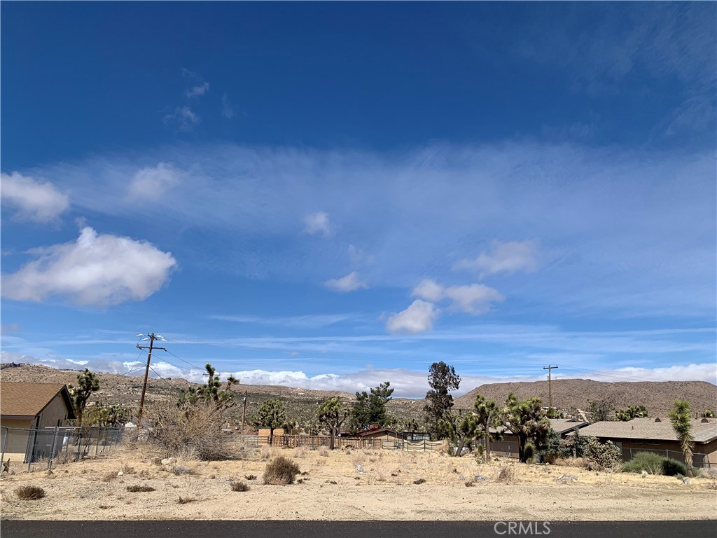 MLS #NP25067854 image #4