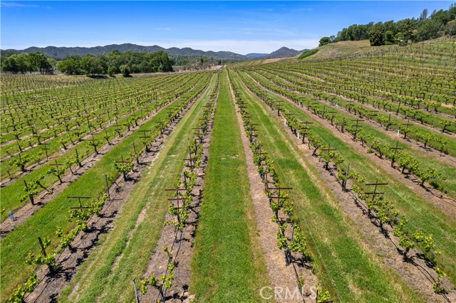 Detail Gallery Image 33 of 51 For 7875 Adobe Creek Rd, Kelseyville,  CA 95451 - 4 Beds | 4 Baths