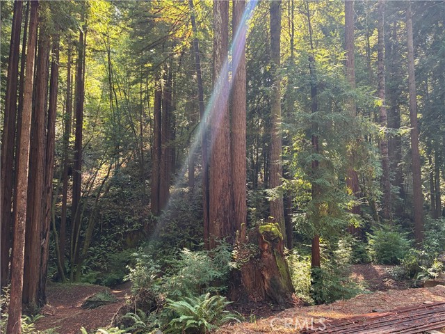 Detail Gallery Image 2 of 40 For 16125 Bittner Rd, Occidental,  CA 95465 - 4 Beds | 2 Baths