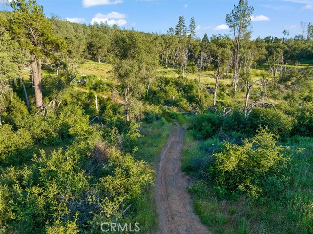 Detail Gallery Image 15 of 15 For 205 Maple Ln, Oroville,  CA 95966 - – Beds | – Baths