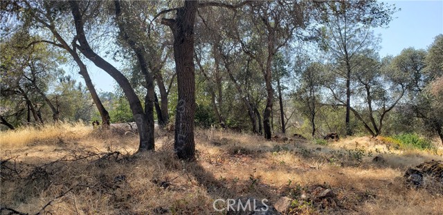3121 15th, Clearlake, CA, 95422 3121 15th, Clearlake, CA, 95422
