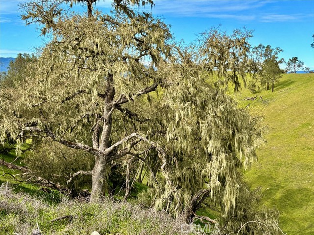 3260 Timberline drive, Paso Robles CA: https://media.crmls.org/medias/04fad47d-026a-4ed9-bcca-0c236b76f3bd.jpg