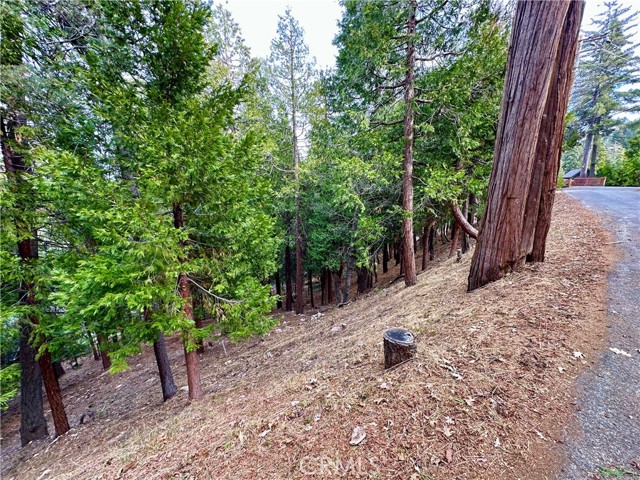 Detail Gallery Image 4 of 14 For 291 Hillside Rd, Lake Arrowhead,  CA 92352 - – Beds | – Baths