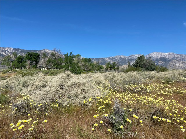 Detail Gallery Image 50 of 61 For 330 Sage Flats Dr, Olancha,  CA 93549 - 3 Beds | 2 Baths