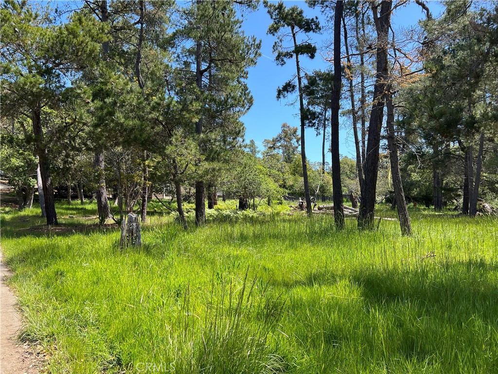 MLS #SC25087439 image #1