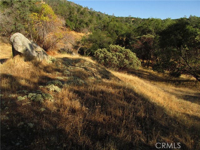 Detail Gallery Image 43 of 54 For 2 Ac Old Oaks Ct, North Fork,  CA 93643 - – Beds | – Baths