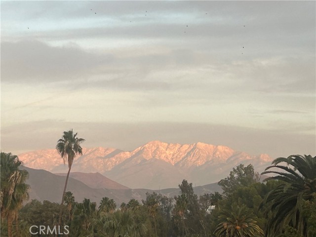 Detail Gallery Image 67 of 67 For 2715 Brockton, Riverside,  CA 92501 - 4 Beds | 2 Baths