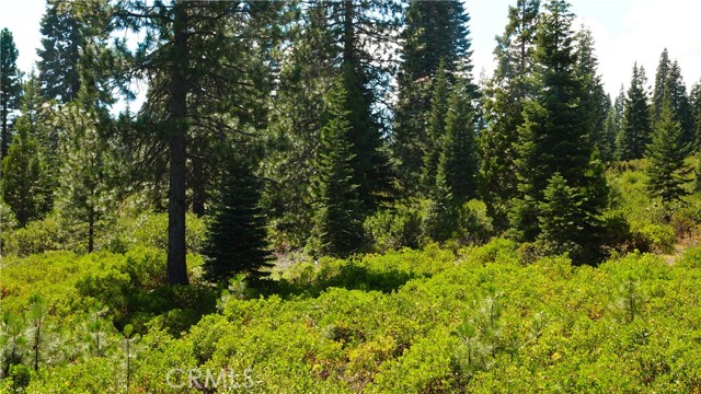 Front Image Thumbnail for CRND25269764