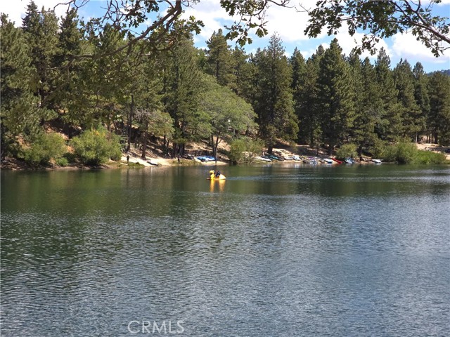 33007 Spruce Drive, Green Valley Lake CA: https://media.crmls.org/medias/050e3cf8-22cb-437f-8dbf-7c28054604ff.jpg