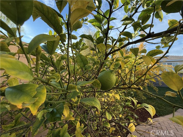 Detail Gallery Image 51 of 72 For 32102 Elk Grove Ct, Temecula,  CA 92592 - 4 Beds | 3/1 Baths