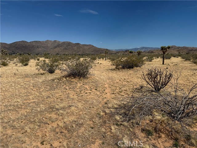 Detail Gallery Image 29 of 32 For 0 Japatul Rd, Apple Valley,  CA 92307 - – Beds | – Baths