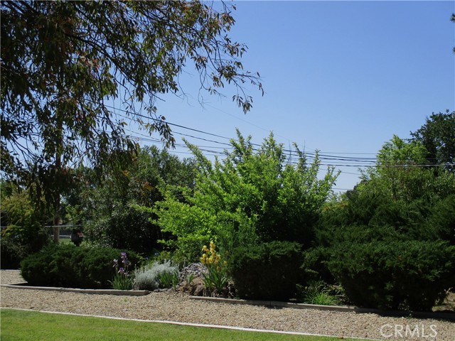 Detail Gallery Image 29 of 34 For 1523 Country Club Dr, Paso Robles,  CA 93446 - 3 Beds | 2 Baths