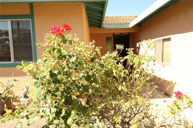 13321 Anchor Village, Clearlake Oaks, California 95423, 2 Bedrooms Bedrooms, ,2 BathroomsBathrooms,Residential,For Sale,13321 Anchor Village,CRLC25011318