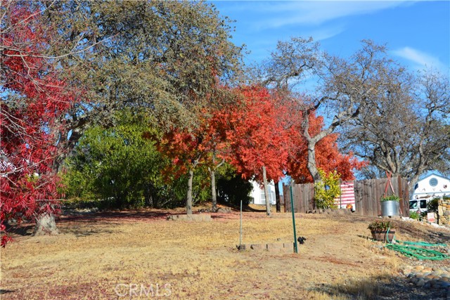 Detail Gallery Image 35 of 36 For 41761 John Muir Dr, Coarsegold,  CA 93614 - 3 Beds | 2 Baths