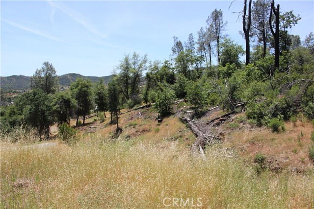 Detail Gallery Image 28 of 45 For 10255 Carrousel Dr, Redding,  CA 96001 - – Beds | – Baths
