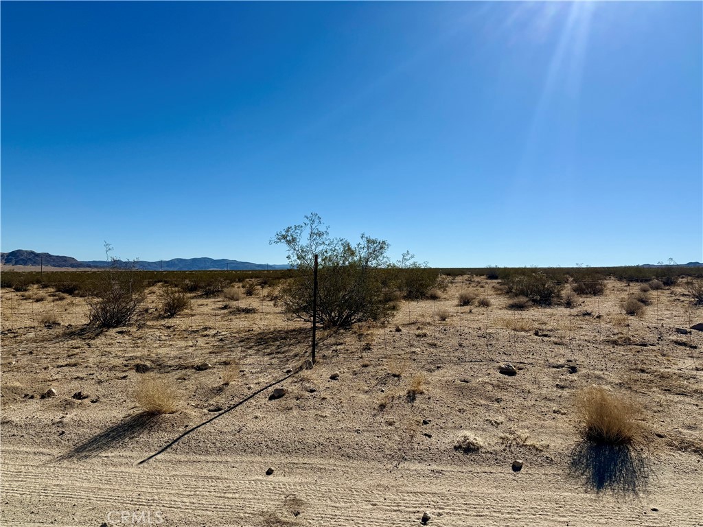 MLS #JT25208342 image #19