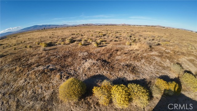 Antelope Acres, CA 93536