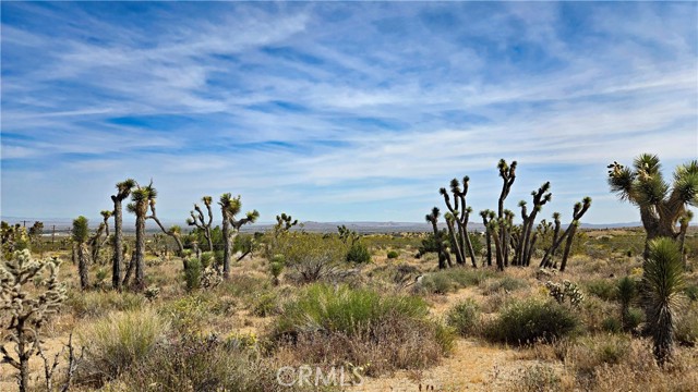 Detail Gallery Image 14 of 49 For 0 103rd St East Vicinity W14, –,  CA 93543 - – Beds | – Baths