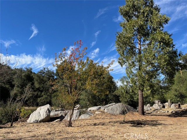 Detail Gallery Image 17 of 60 For 5049 Ca-78, Santa Ysabel,  CA 92070 - 3 Beds | 2/1 Baths