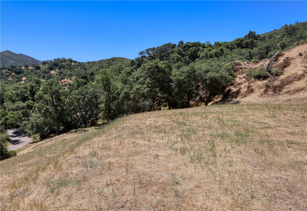 Detail Gallery Image 1 of 1 For 13025 Old Morro Rd, Atascadero,  CA 93422 - – Beds | – Baths