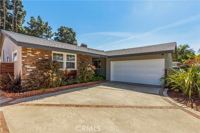 Front Image Thumbnail for CROC26056996