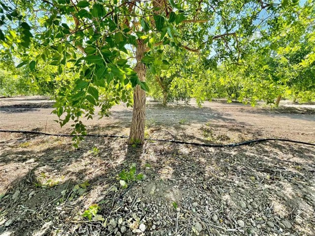 Detail Gallery Image 12 of 67 For 34034 Wilshire Rd, Lucerne Valley,  CA 92356 - 2 Beds | 1 Baths