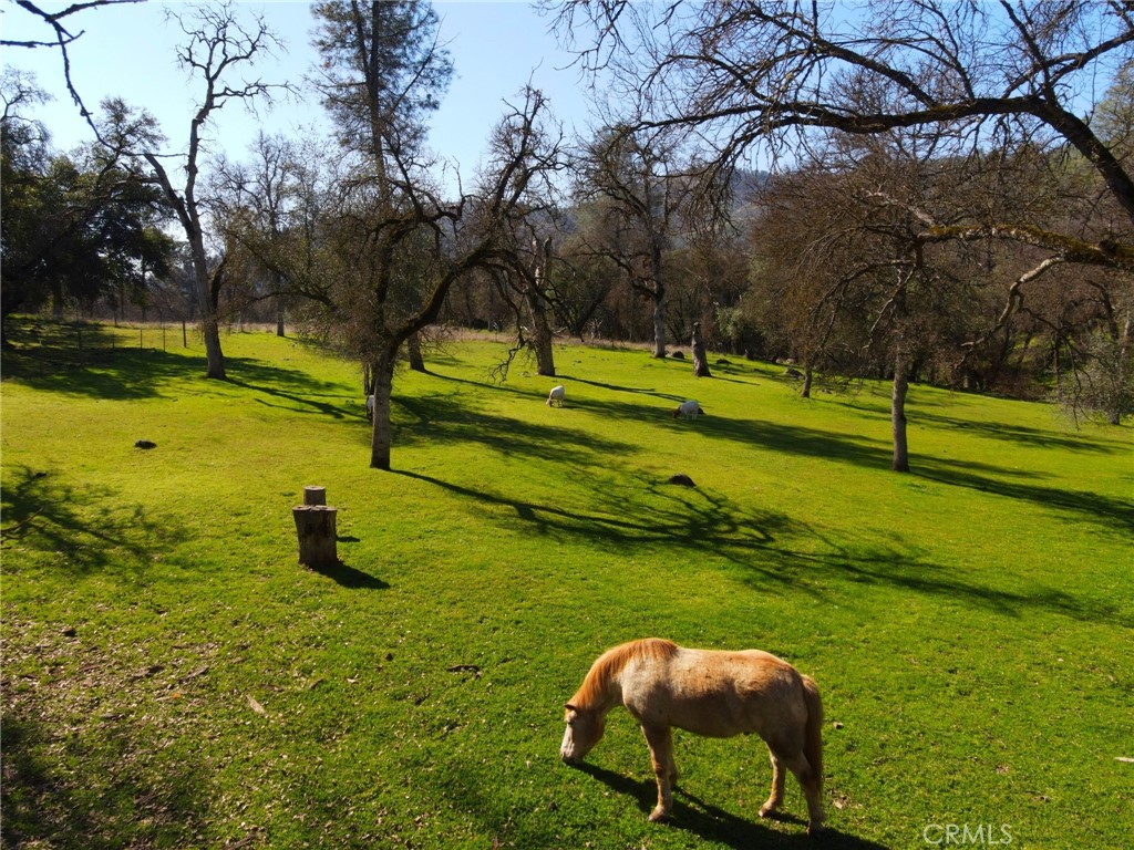 https://media.crmls.org/medias/055545da-033c-481f-b70d-70e546850b08.jpg?preset=X-Large
