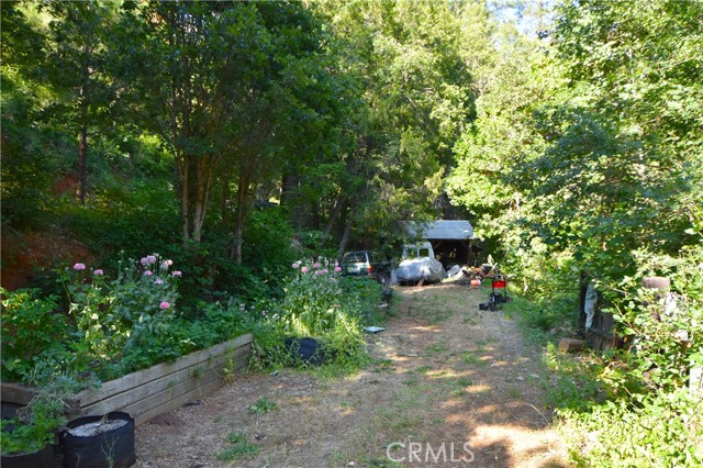 50721 State Highway 96, Klamath River CA: https://media.crmls.org/medias/05557e08-7dc4-4efc-82c5-824d9cfff660.jpg