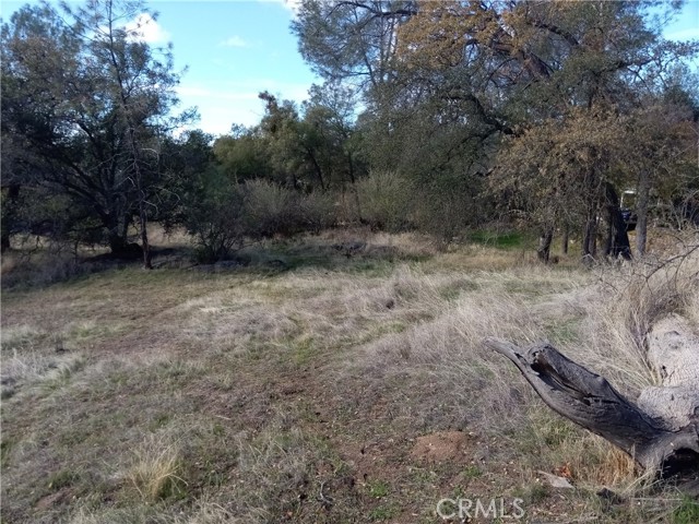 0 Limestone Circle, Coarsegold, California 93614, ,Land,For Sale,0 Limestone Circle,CRFR23190650