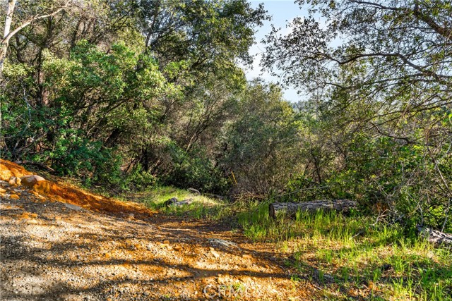 Detail Gallery Image 6 of 31 For 0 Iron Mine Rd, Auburn,  CA 95602 - – Beds | – Baths