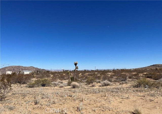 Front Image Thumbnail for CRIG25279253