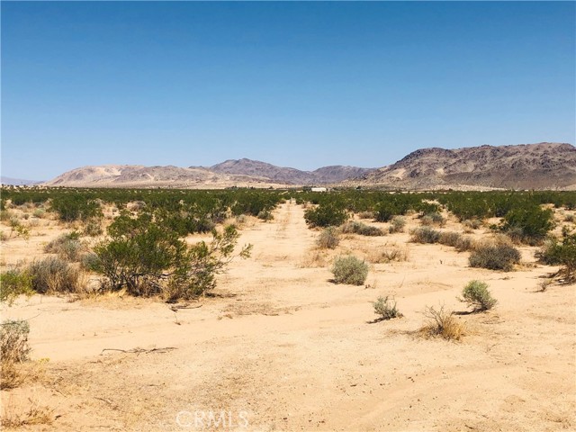 Detail Gallery Image 7 of 9 For 0 Near Dusty Mile Rd, Landers,  CA 92285 - – Beds | – Baths