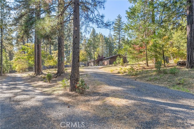 Detail Gallery Image 45 of 67 For 16298 Forest Ranch Rd, Forest Ranch,  CA 95942 - 3 Beds | 3 Baths