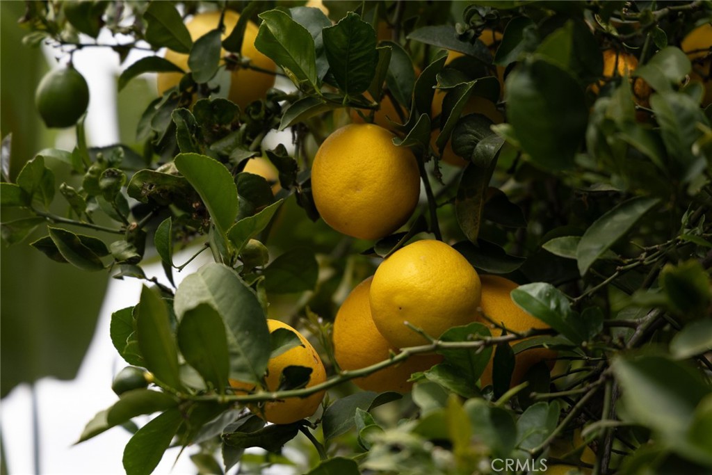 https://media.crmls.org/medias/05677154-5ea1-4bc7-98af-305e5291dd24.jpg?preset=X-Large