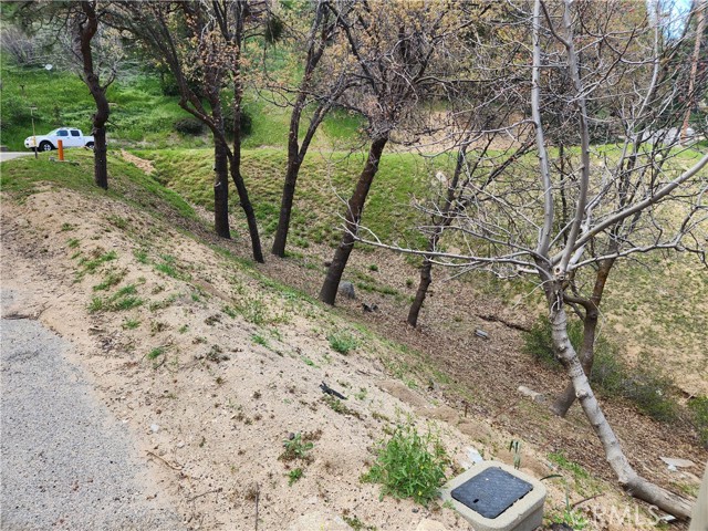 327 Davos Drive, Crestline CA: https://media.crmls.org/medias/056eb54f-152a-4328-8840-6d84d515cd81.jpg