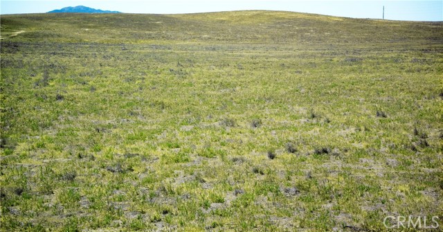 Detail Gallery Image 2 of 5 For 13250 Calipatria Rd, Santa Margarita,  CA 93453 - – Beds | – Baths