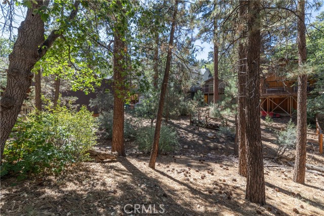Detail Gallery Image 12 of 14 For 0 Kern Ave, Sugarloaf,  CA 92386 - – Beds | – Baths