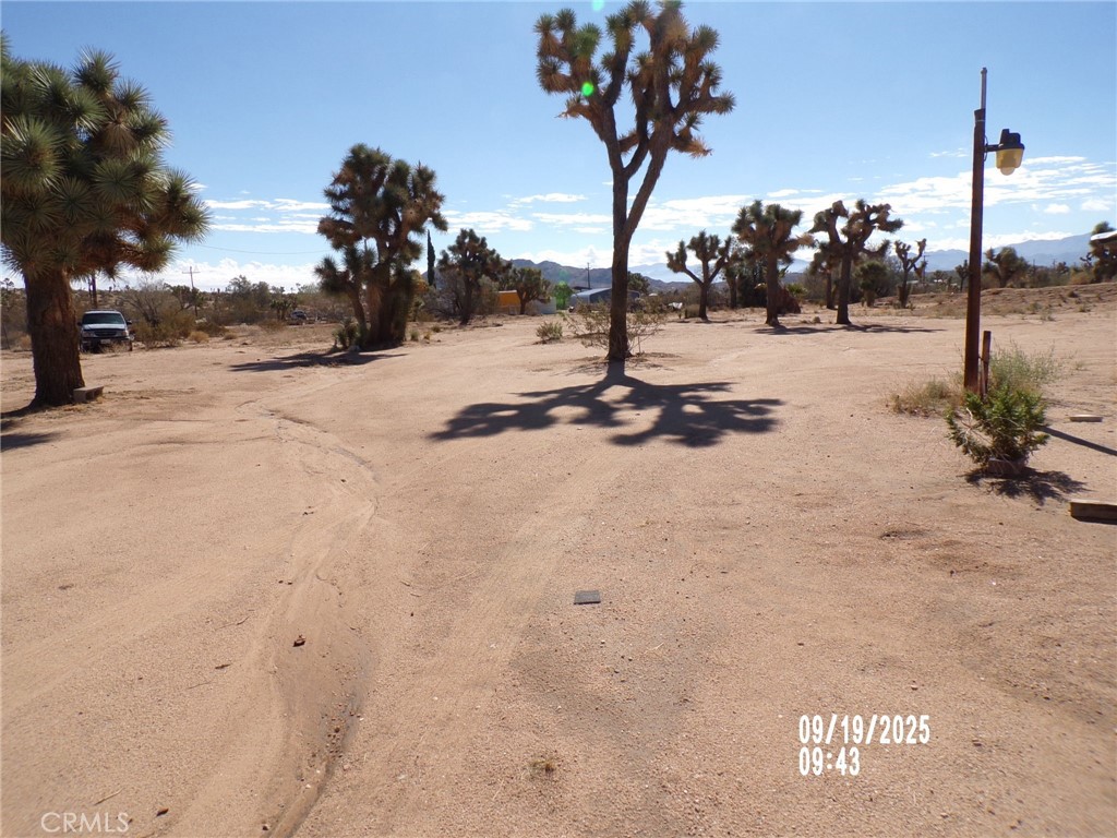 MLS #JT25220711 image #36