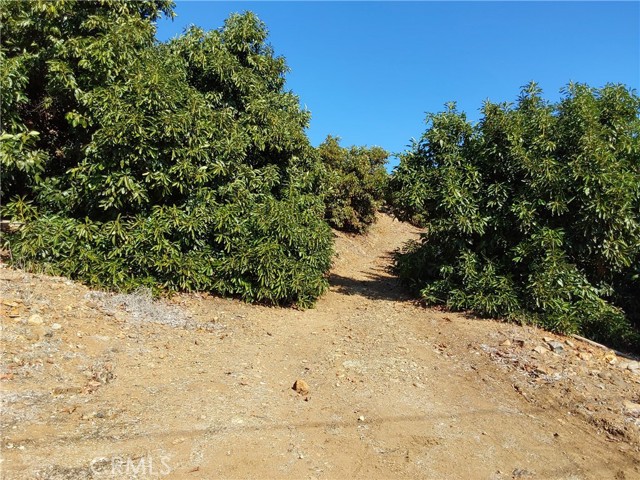 Detail Gallery Image 32 of 38 For 3 via Vaquero, Temecula,  CA 92590 - – Beds | – Baths