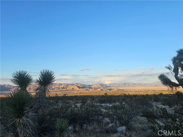 Detail Gallery Image 10 of 10 For 411 Powerline Rd., Lucerne Valley,  CA 92356 - 0 Beds | 0 Baths