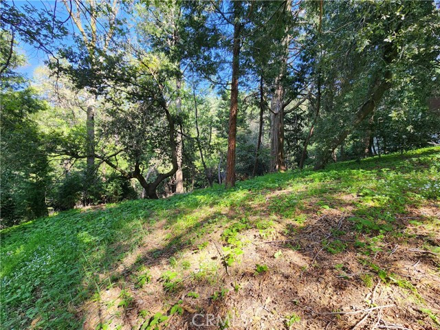 Detail Gallery Image 19 of 21 For 811 Deer Trl, Crestline,  CA 92325 - – Beds | – Baths