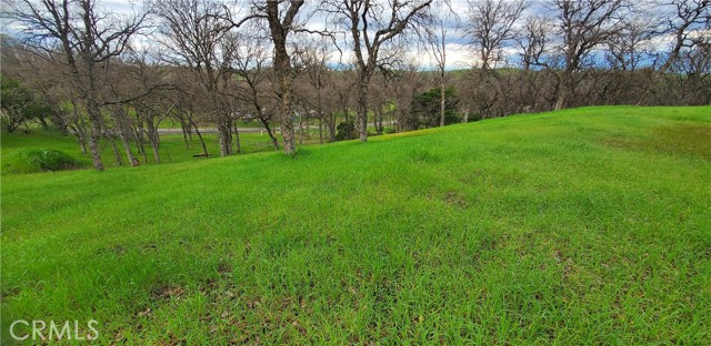 Detail Gallery Image 6 of 16 For 15842 S Mendocino, Corning,  CA 96021 - – Beds | – Baths