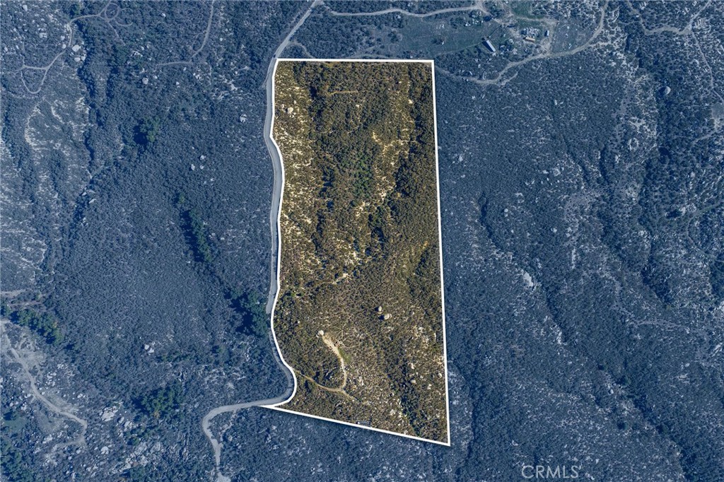 MLS #SW25270253 image #14