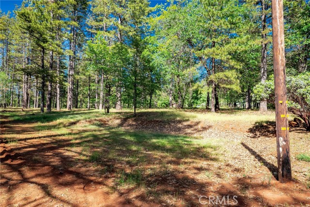 Image 46 of 50 For 4620 Wendlis Road