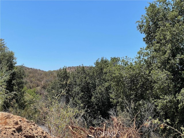 0 The Farm Rd, Wildomar, California 92595, ,Land,For Sale,0 The Farm Rd,CRSW22222726