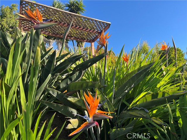 Detail Gallery Image 11 of 15 For 4862 Sevilla Way, Carlsbad,  CA 92008 - 4 Beds | 3 Baths